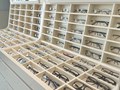Фото компании  Ангелы зрения 2