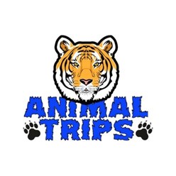 Animal Trips