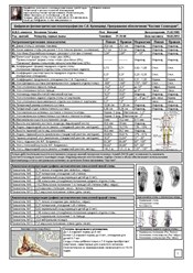Фото компании  Новая Ортопедия 8