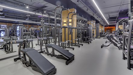 Фото компании  DDX Fitness 13