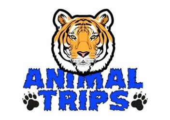 Animal Trips