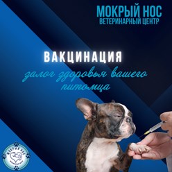 Фото компании ООО Мокрый нос 1