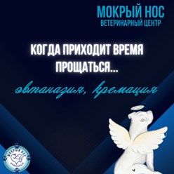 Фото компании ООО Мокрый нос 5