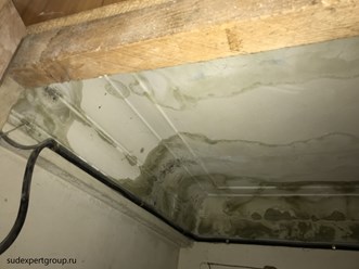 Судебная строительная экспертиза и инженерно-техническая экспертиза