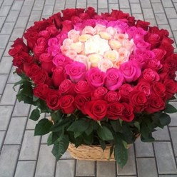 Фото компании  labuton_kem 1