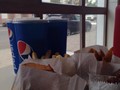 Фото компании  Burger King, ресторан быстрого обслуживания 5