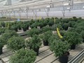 Фото компании ООО Исток 1