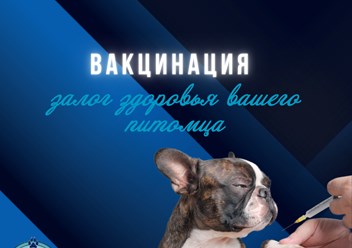 Фото компании ООО Мокрый нос 1