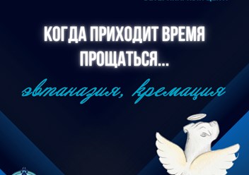 Фото компании ООО Мокрый нос 5