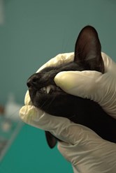 Фото компании  «Искра жизни» 14