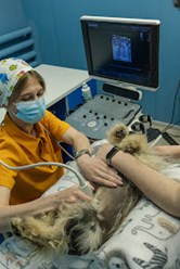 Фото компании  ПЛАНЕТА 6