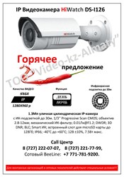 IP Видеокамера HiWatch DS-I126