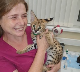 Фото компании  Центр ветеринарной офтальмологии доктора Шилкина А.Г. на ул. Снежная 2