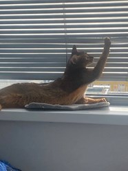 Алюминиевые горизонтальные жалюзи
https://alveraspb.ru/product/alyuminievye-gorizontalnye-zhalyuzi/