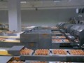 Запуск современной яйцесортировальной машины Ardenta 300 (Голландия) с автоматическим управлением позволяет производить сортировку до 108 тысяч штук яиц в час.