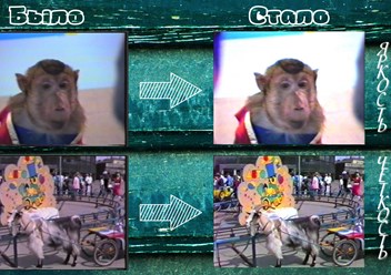 Фото компании  Цифростудия 6