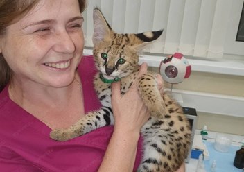 Фото компании  Центр ветеринарной офтальмологии доктора Шилкина А.Г. на ул. Снежная 2