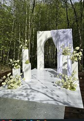 Фото компании  В цветах 1