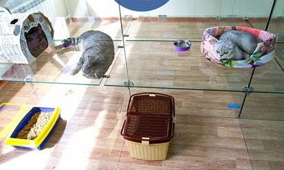 Фото компании ООО "BookingCat" 1
