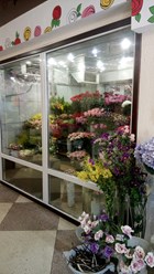 Фото компании  Донна Роза 9