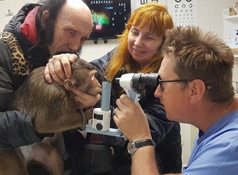 Фото компании  Центр ветеринарной офтальмологии доктора Шилкина А.Г. на  5-ой Парковой 11