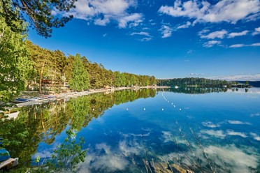 Фото компании  Золотой пляж 34