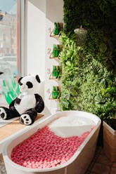 Фото компании  ALOE smart 10