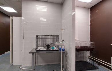 Фото компании  От носа до хвоста 10