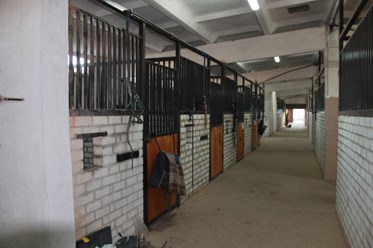 Фото компании  Конный клуб "Середниково" 2