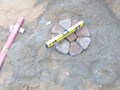 Образец круга из биусчатки Старый город