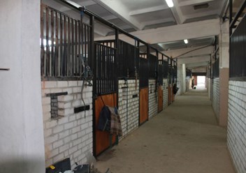 Фото компании  Конный клуб "Середниково" 2