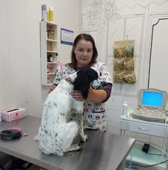 Фото компании  КОТиКо 7