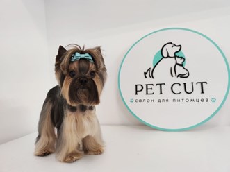 Фото компании  Pet Cut 10