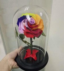 Пишите floraug@inbox.ru 
Сайт - http://floraug.ru 
Телефон - 8-928-102-82-35 
ВКонтакте - https://vk.com/kupitczvety 
Одноклассники - https://ok.ru/group/53509618991193 
Твиттер - https://twitter.com/