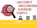 АБСОЛЮТ профессионально уничтожим клопов в Красноярске, тараканов, муравьев, блох звоните: 215-01-13