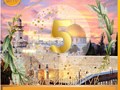 Фото компании ООО Аnanta trip 4