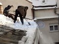 Фото компании ООО Снегосбор 2