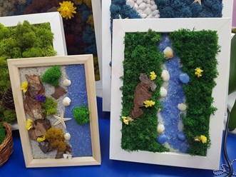 Фото компании ООО Фитостудия 8