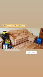 Фото компании  Чистим паром 54 14