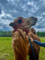 Фото компании  Пушкин-парк 1