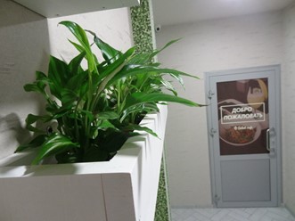 Фото компании  Salad cafe 3