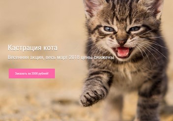 Акция с 01 марта по 01 апреля 2018. Ветеринарный хирург в Москве проводит кастрацию котов. Цены весь март 2018 снижены. Консультации бесплатно!
