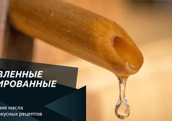 Фото компании  Morganic 1