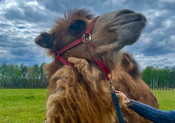 Фото компании  Пушкин-парк 1