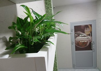 Фото компании  Salad cafe 3