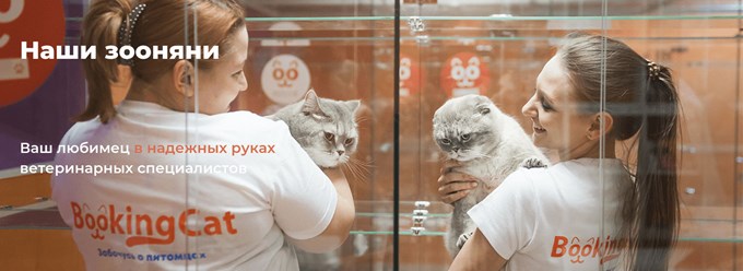 Фото компании ИП BookingCat 6