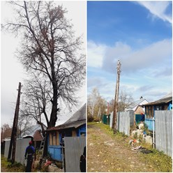 Фото компании ИП Спил/ обрезка деревьев 13