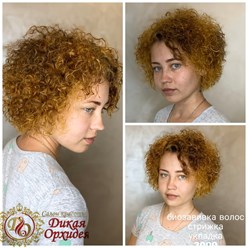 Фото компании  Дикая Орхидея 15