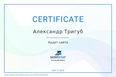 SEO-маркетолог Александр Тригуб