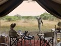 Фото компании ООО Soul Venture Africa 1